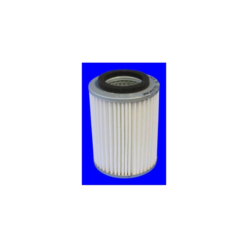 FILTRE A AIR VL