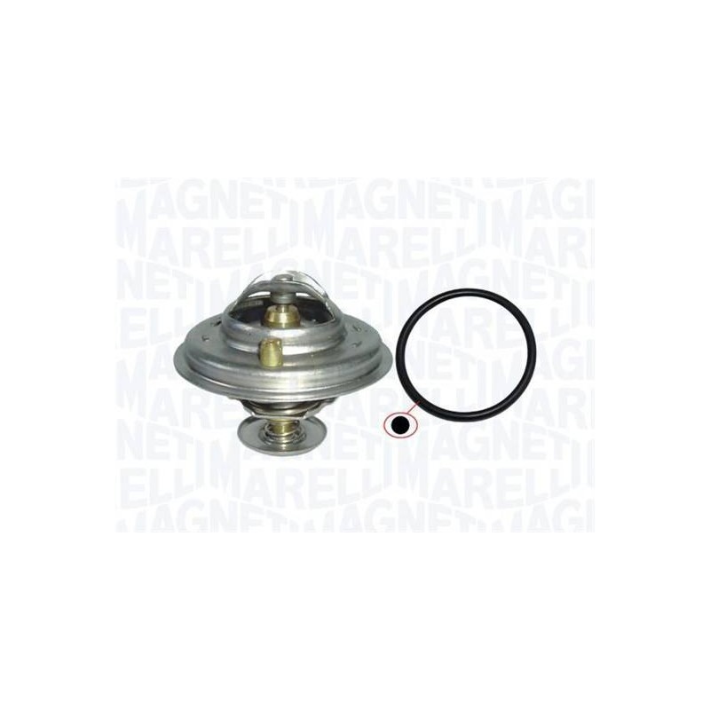 THERMOSTAT POUR BMW 5 E39