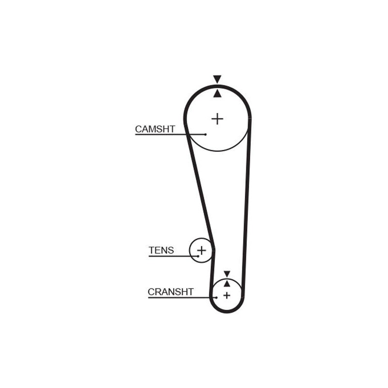 COURROIE DISTRIBUTION