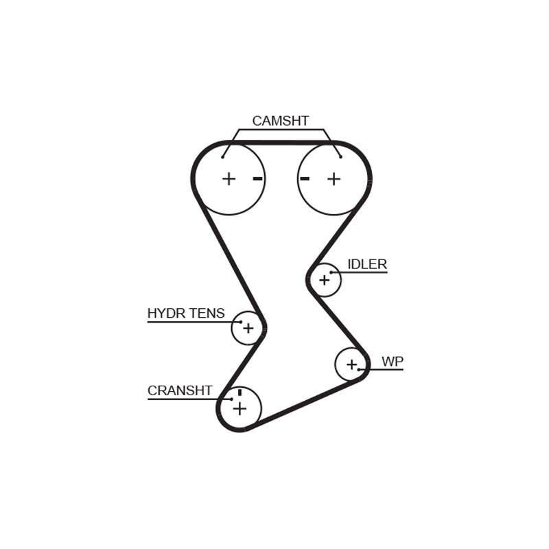 COURROIE DISTRIBUTION RPM RACING