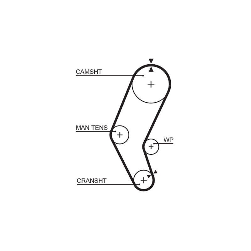 COURROIE DISTRIBUTION