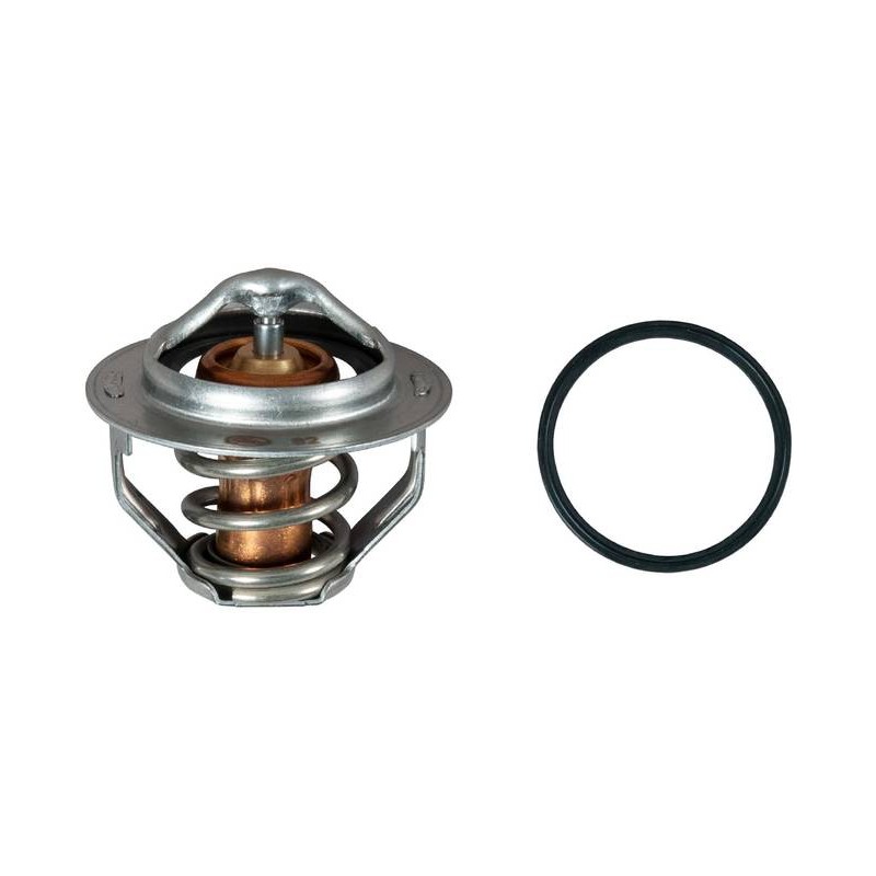 THERMOSTAT