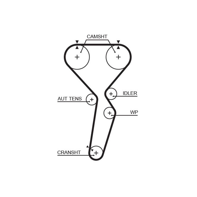 COURROIE DISTRIBUTION