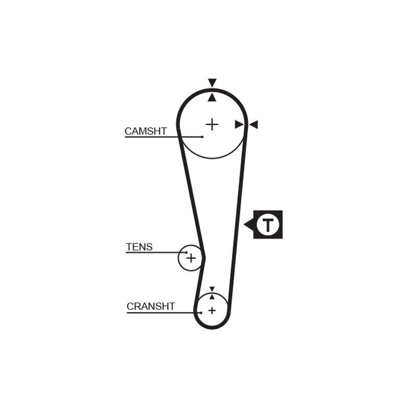 COURROIE DISTRIBUTION