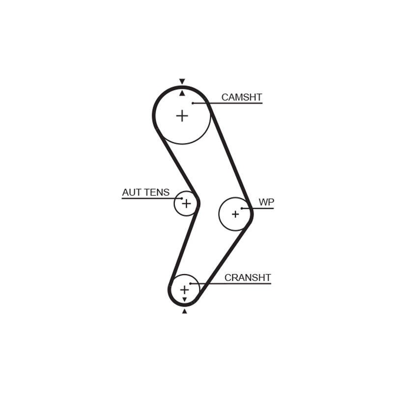 COURROIE DISTRIBUTION