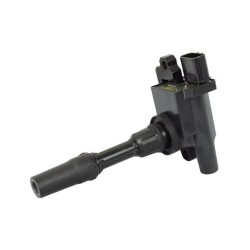 BOBINE EQ POUR SUZUKI