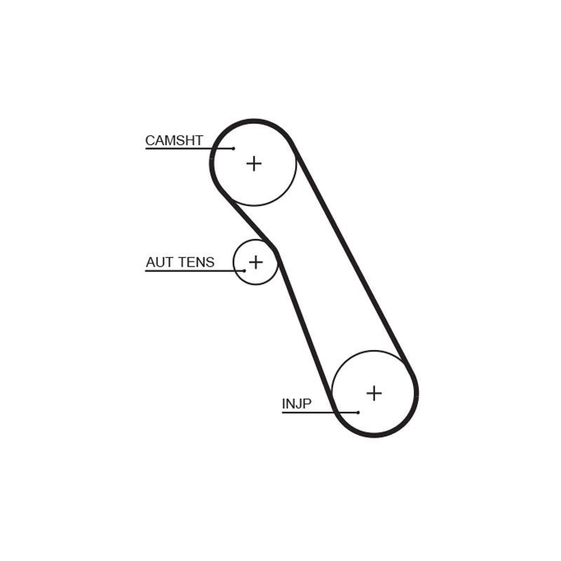 COURROIE DISTRIBUTION
