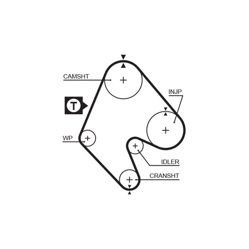 COURROIE DISTRIBUTION