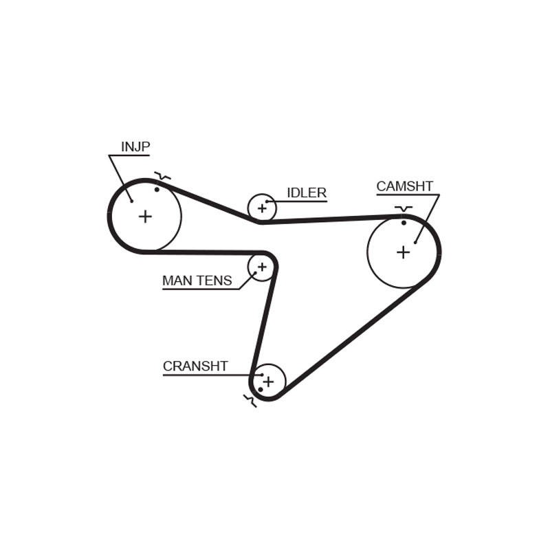 COURROIE DISTRIBUTION