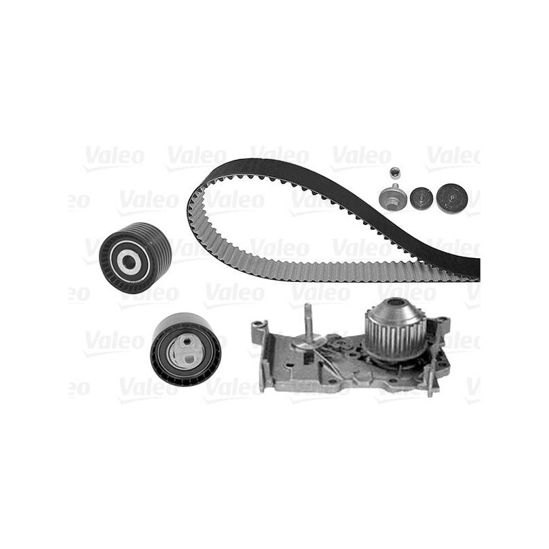 SPK RENAULT CLIO III