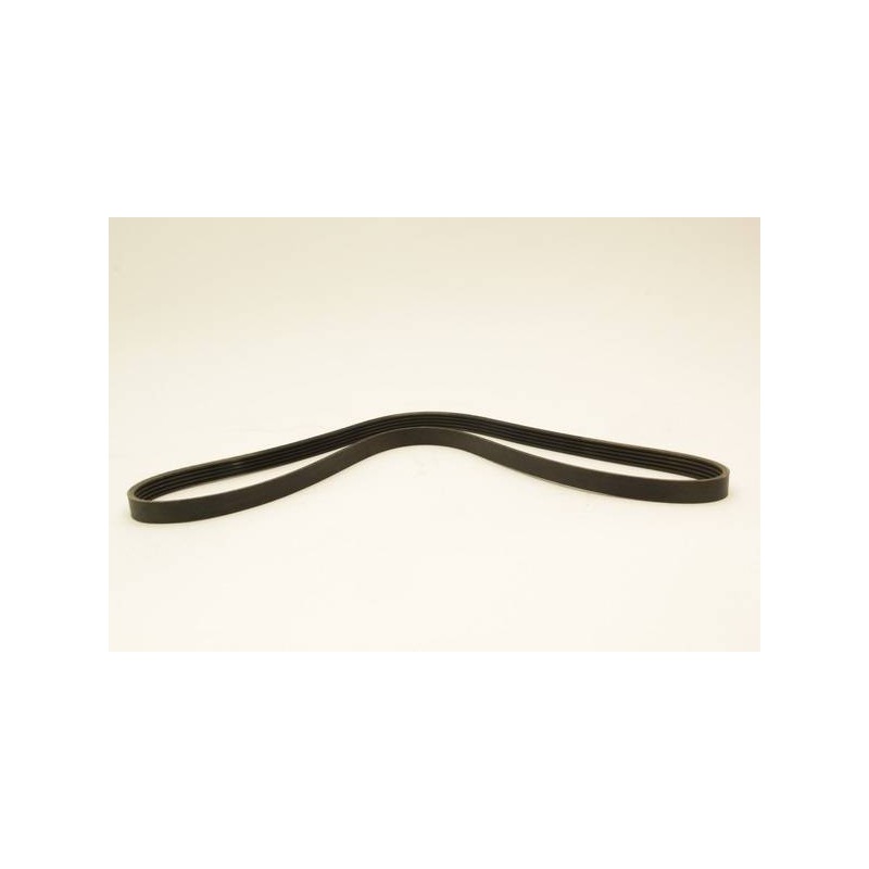 COURROIE STRIEE 5PK1255 CITRO BERLI
