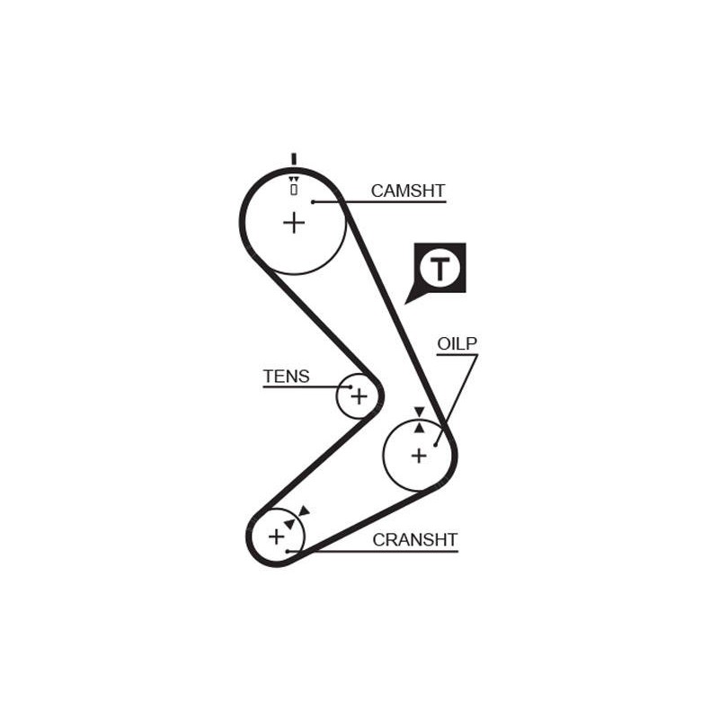 COURROIE DISTRIBUTION