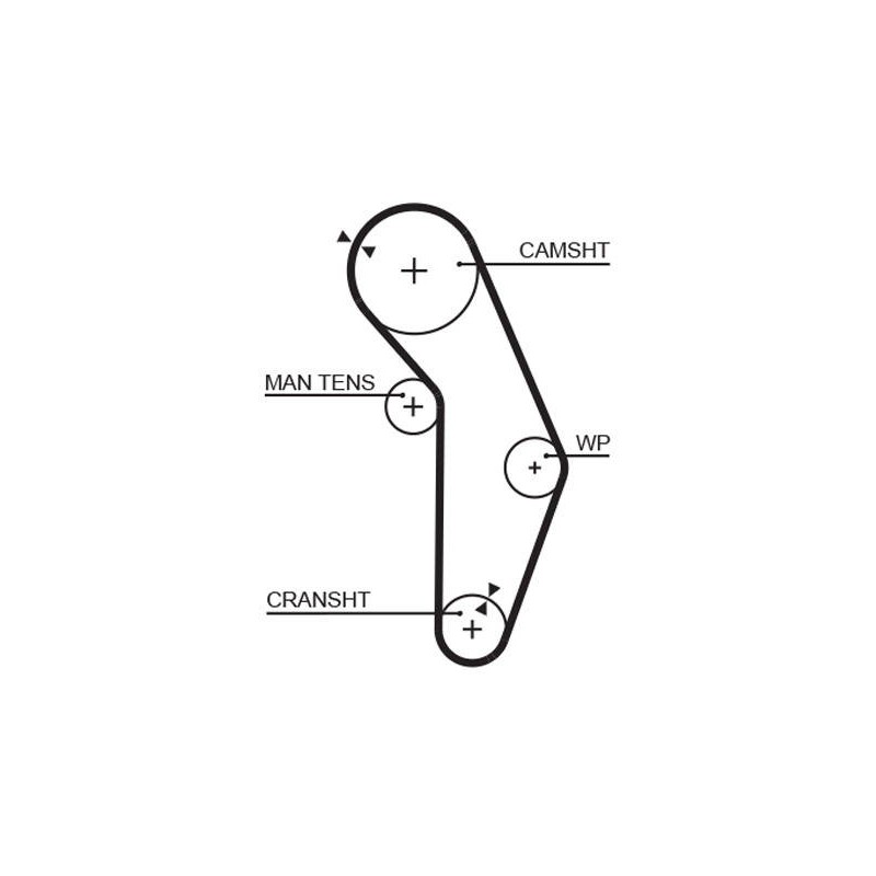 COURROIE DISTRIBUTION RPM RACING