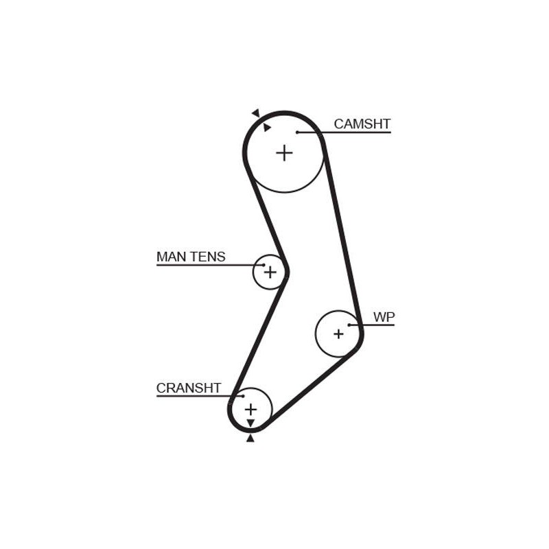 COURROIE DISTRIBUTION