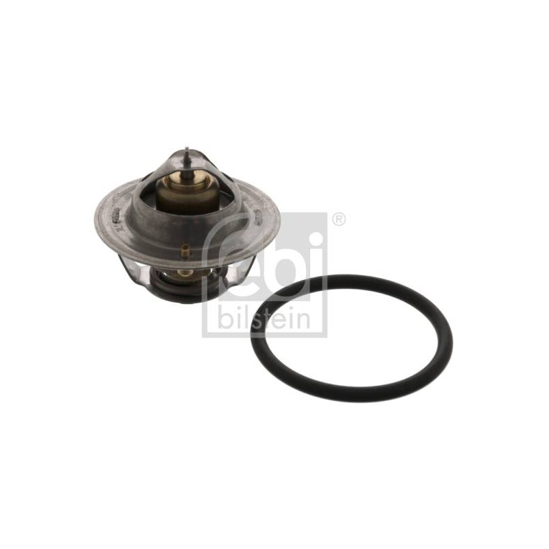 THERMOSTAT