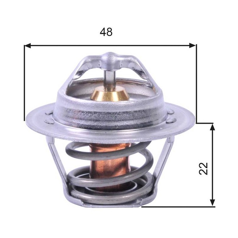 THERMOSTAT