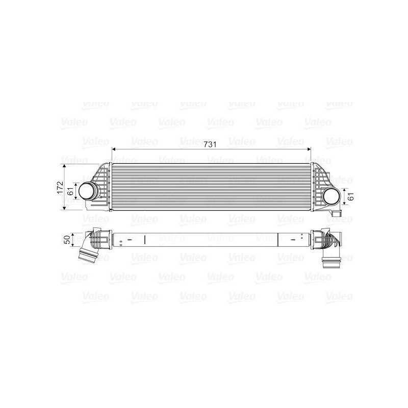 RAS RENAULT MASTER