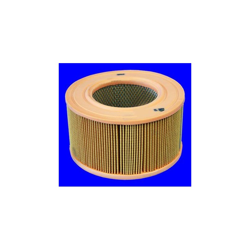 FILTRE A AIR VL