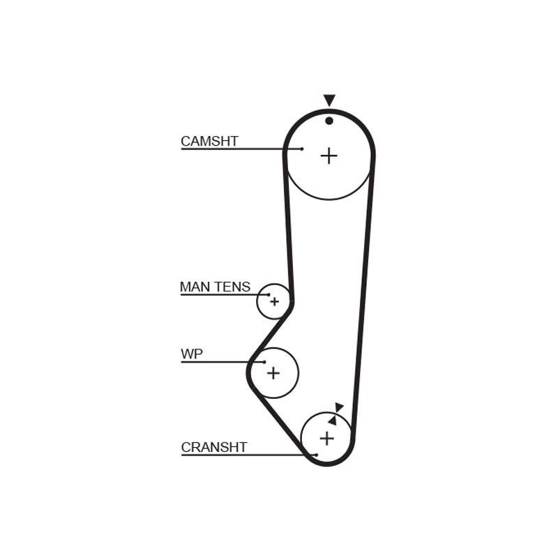 COURROIE DISTRIBUTION