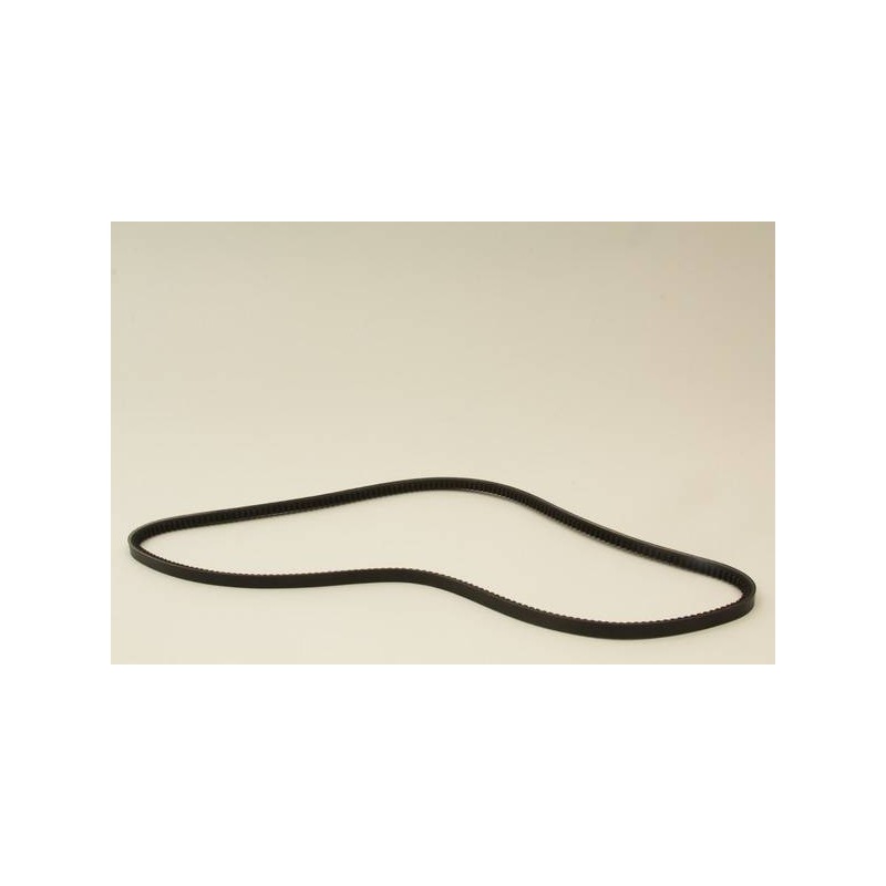 COURROIE CRANTEE 12.5X1450MM