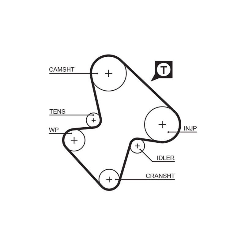 COURROIE DISTRIBUTION