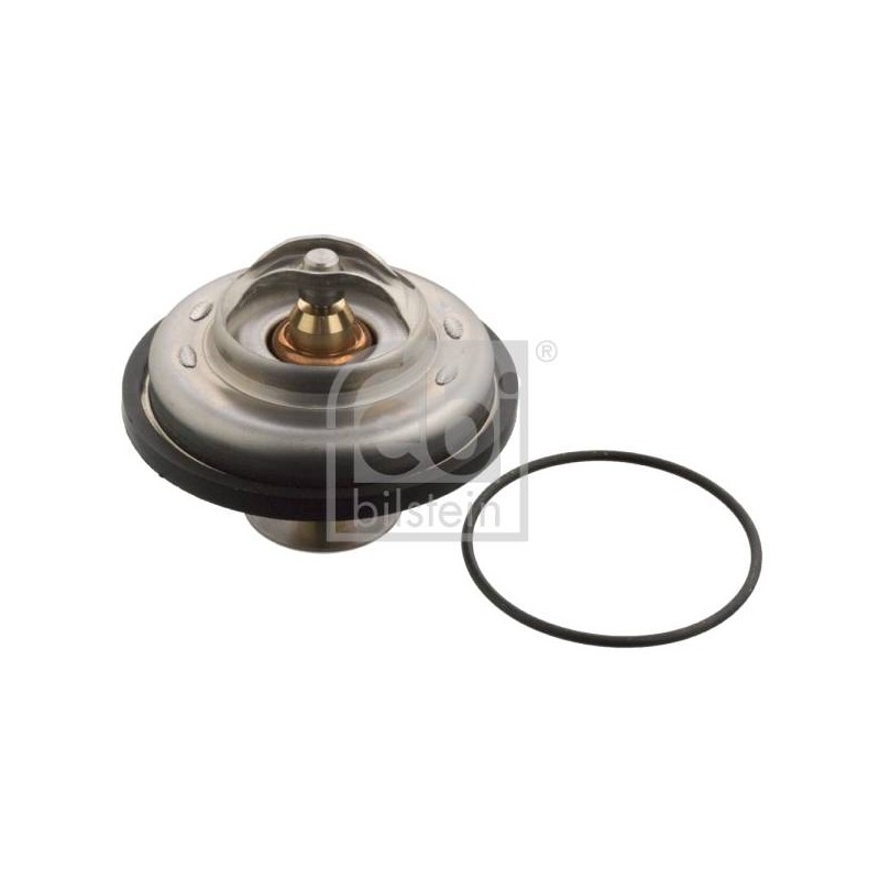 THERMOSTAT