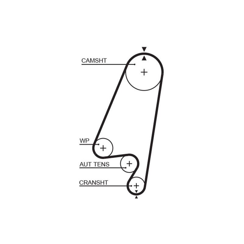 COURROIE DISTRIBUTION