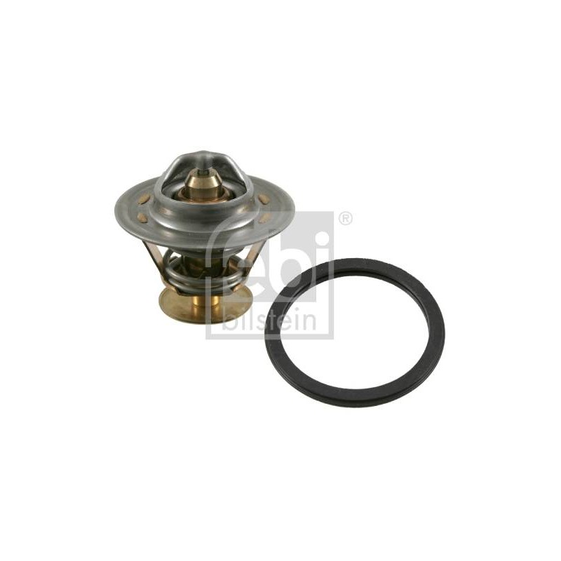 THERMOSTAT