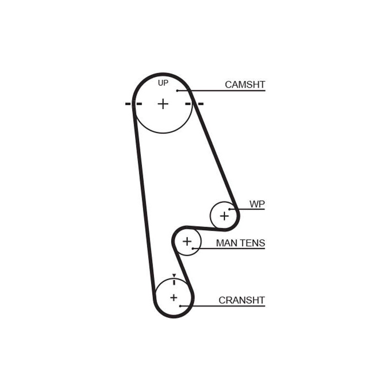 COURROIE DISTRIBUTION RPM RACING