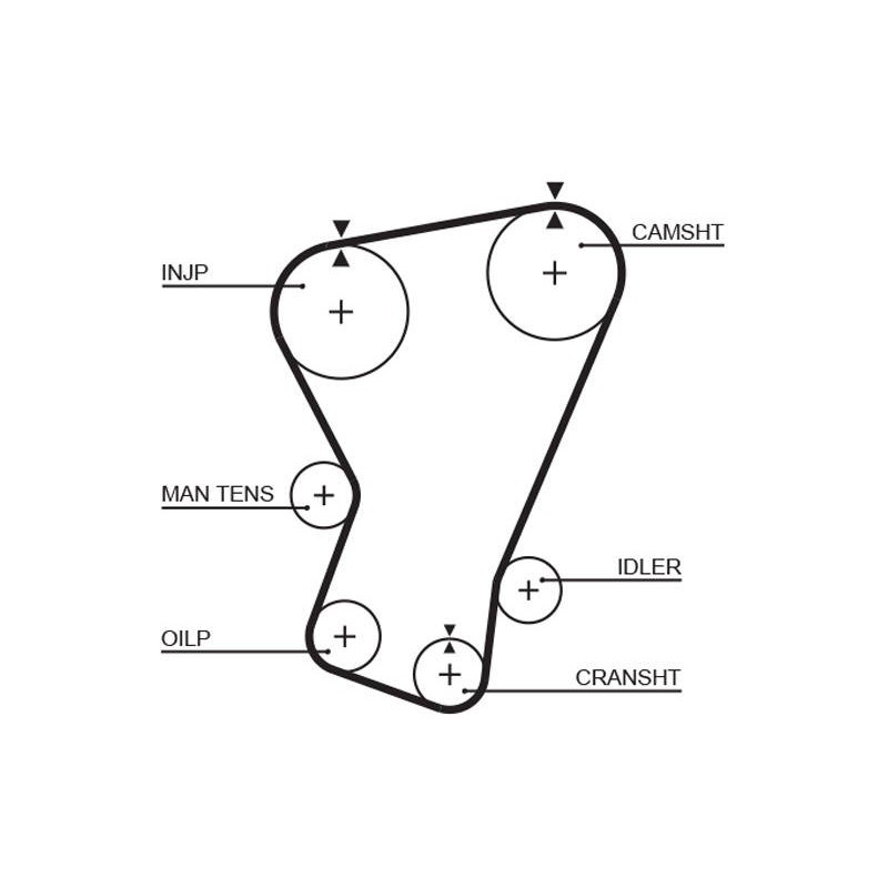 COURROIE DISTRIBUTION
