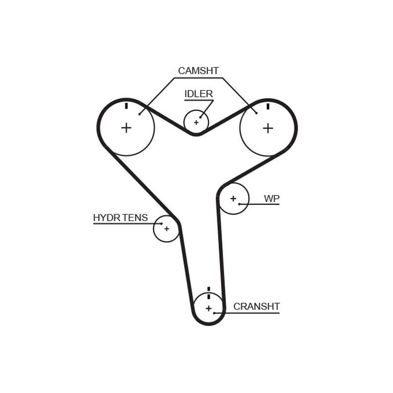 COURROIE DISTRIBUTION