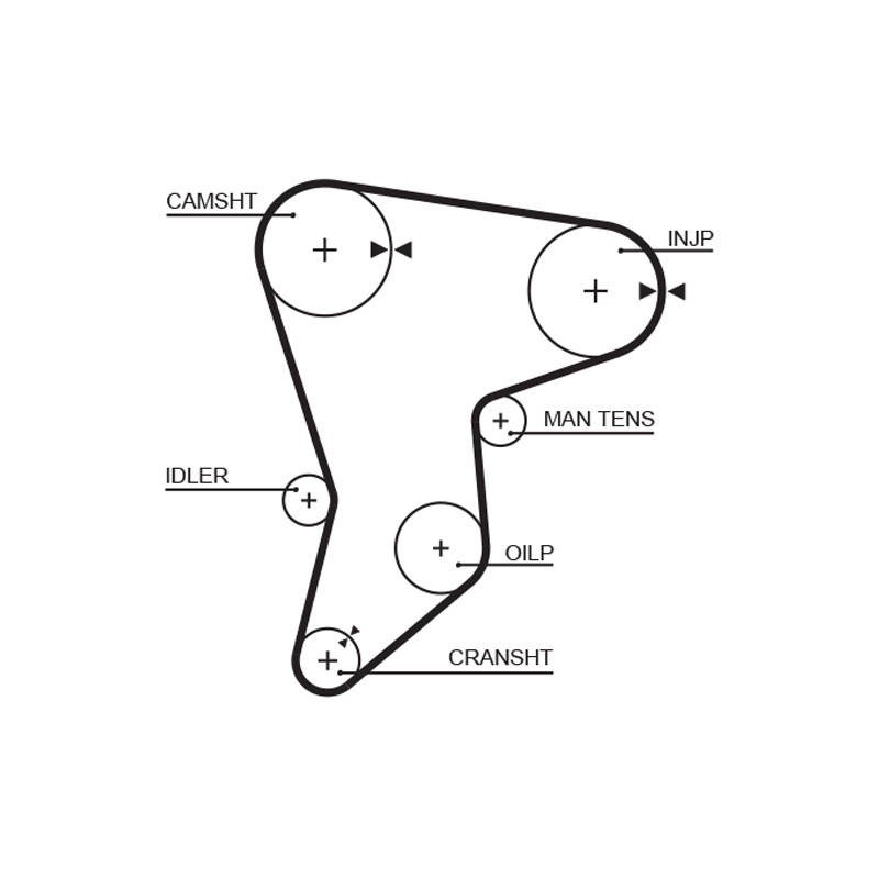 COURROIE DISTRIBUTION