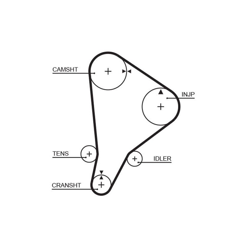 COURROIE DISTRIBUTION