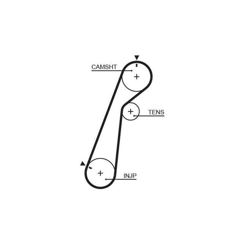COURROIE DISTRIBUTION