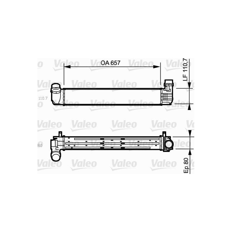 RAS RENA MEGANE(09 )1.9DCI.2.0 16V