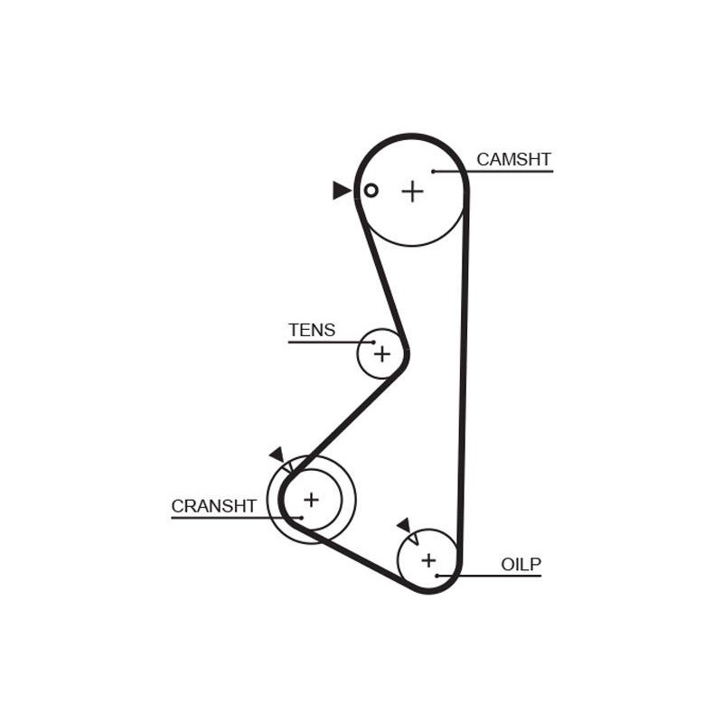 COURROIE DISTRIBUTION