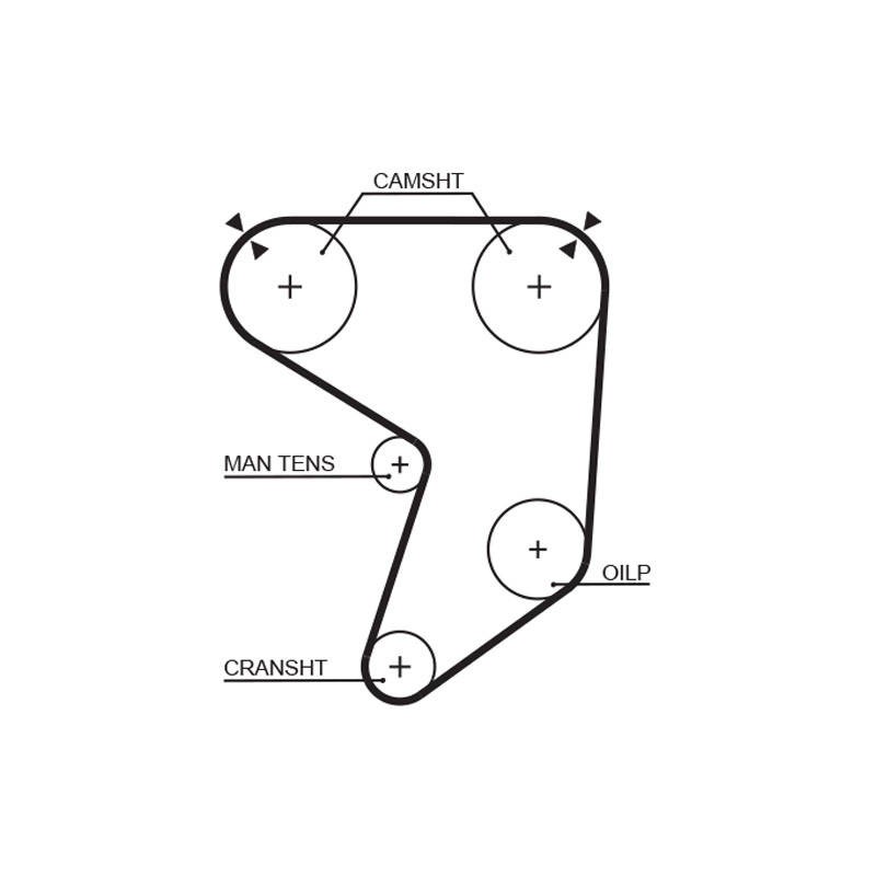 COURROIE DISTRIBUTION