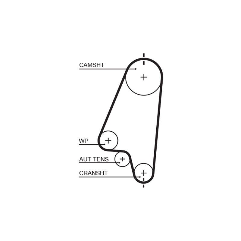 COURROIE DISTRIBUTION