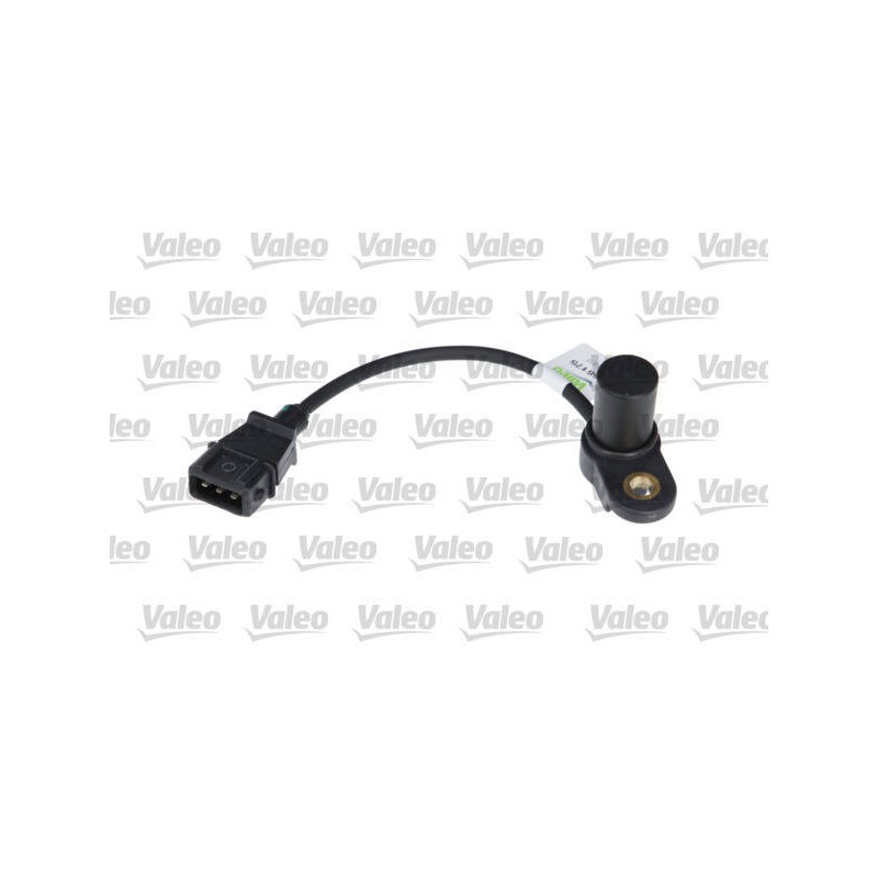 CAPT. ARBRE E CAMES HYUNDAI ACCENT