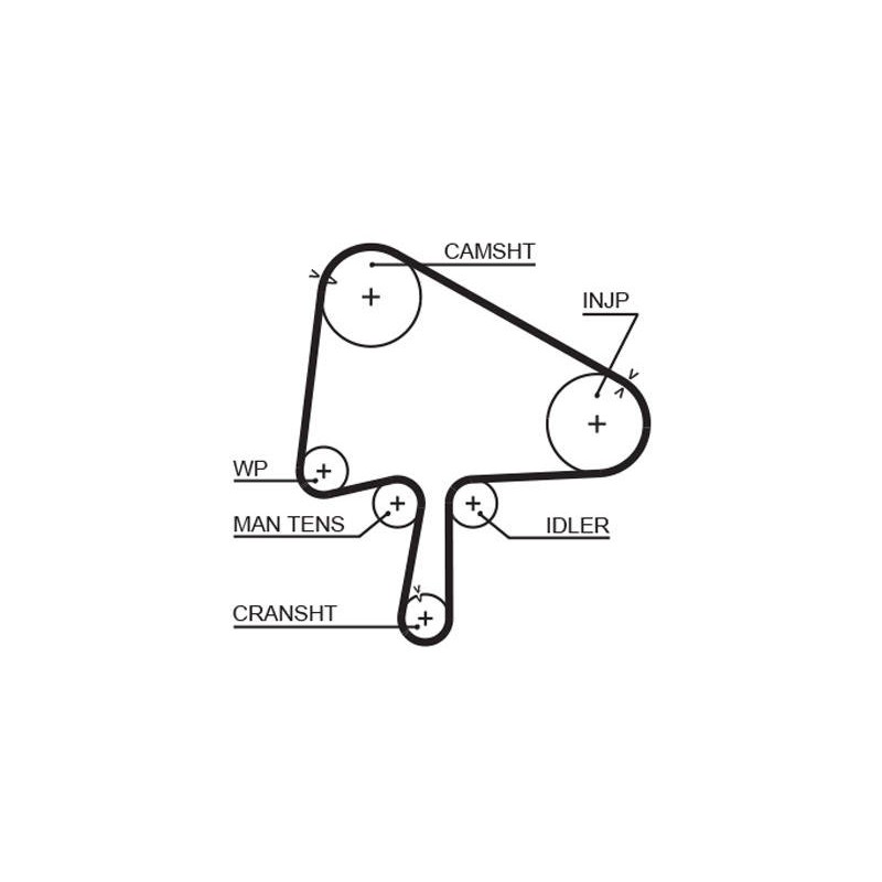 COURROIE DISTRIBUTION