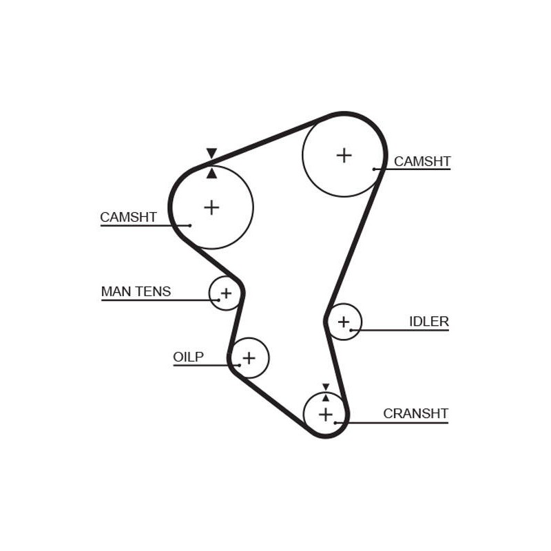 COURROIE DISTRIBUTION