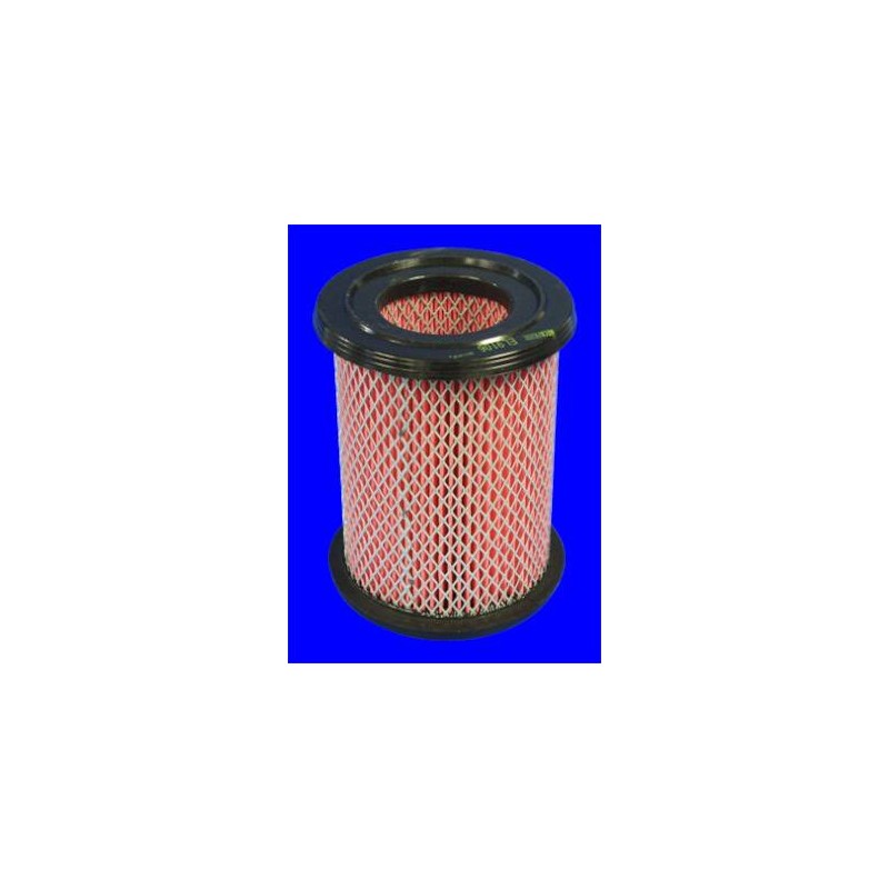 FILTRE A AIR VL