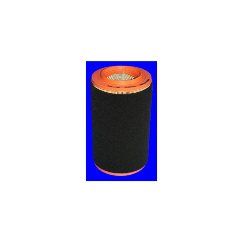 FILTRE A AIR VL
