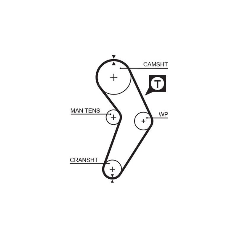 COURROIE DISTRIBUTION