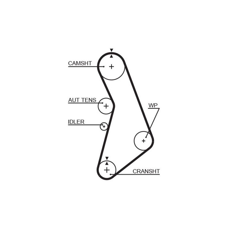 COURROIE DISTRIBUTION