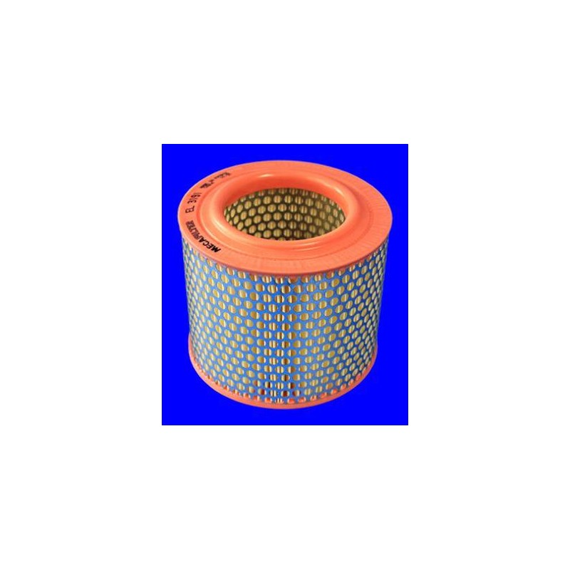 FILTRE A AIR VL