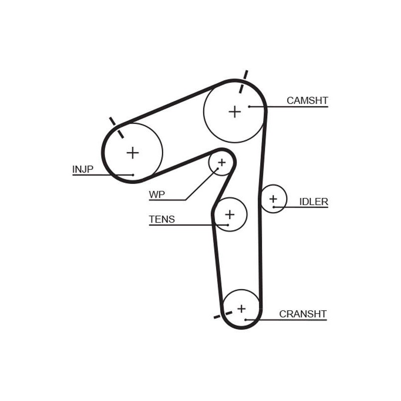 COURROIE DISTRIBUTION