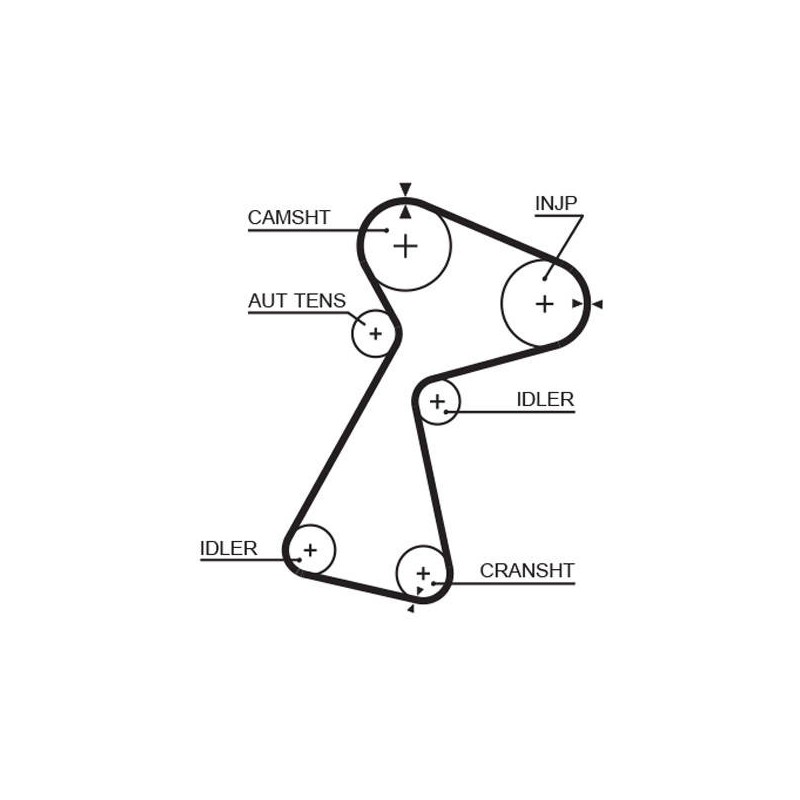 COURROIE DISTRIBUTION