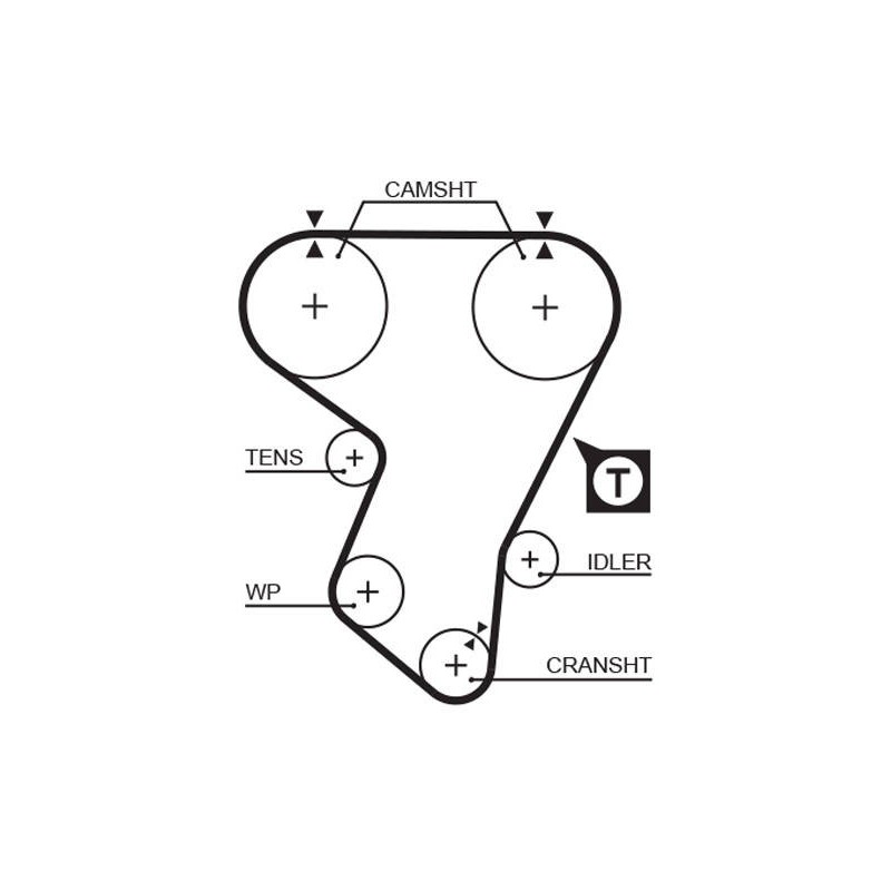 COURROIE DISTRIBUTION