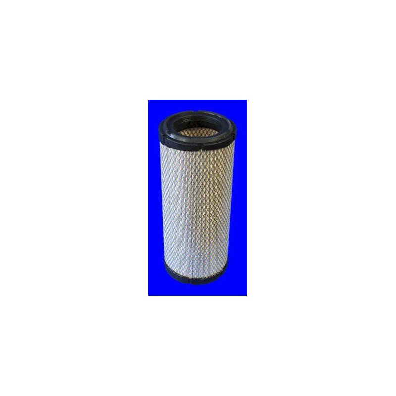FILTRE A AIR PL